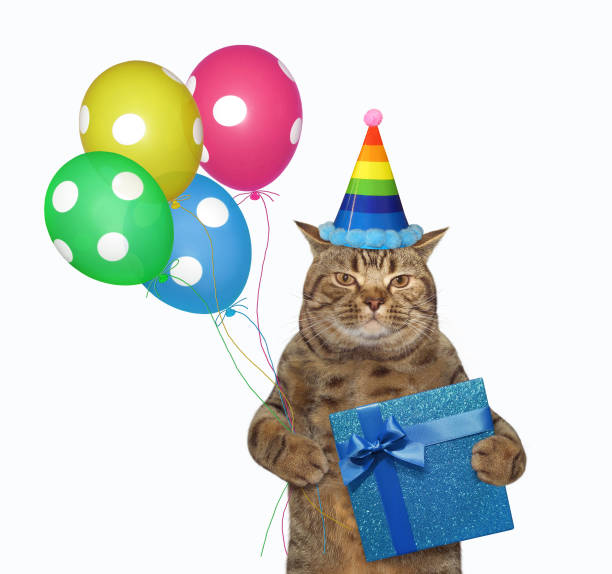 istock Cat in birthday hat holds box 1225862927