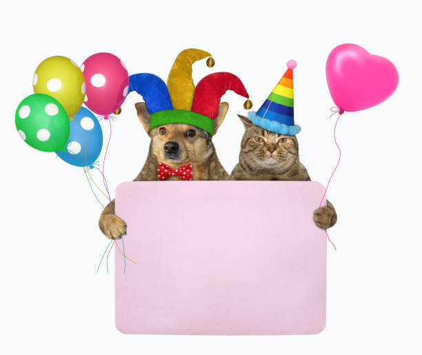istock Dog with cat with blank poster 1225862934