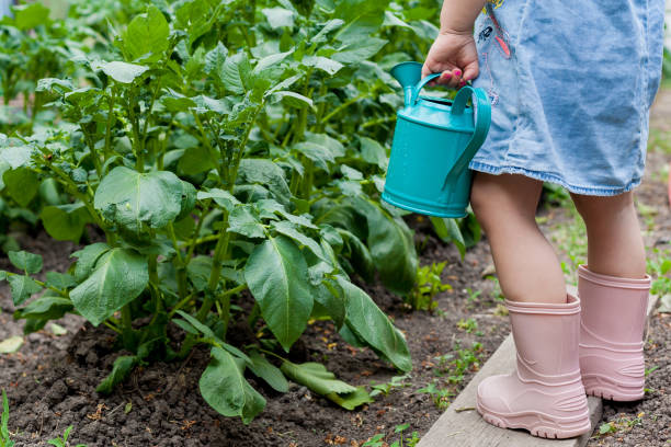 ein kleines süßes baby mädchen 3-4 jahre alt in einem jeanskleid bewässerung die pflanzen aus einer gießkanne im garten. kinder mit spaß beim gärtnern an einem hellen sonnigen tag. outdoor-aktivitäten kinder - 3 4 years cute beauty beautiful stock-fotos und bilder