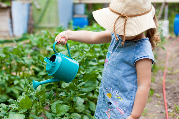 a little cute baby girl 3-4 years old in a denim dress watering the plants from a watering can in the garden. kids having fun gardening  on a bright sunny day. outdoor activity children - child caucasian little girls 3 4 years imagens e fotografias de stock