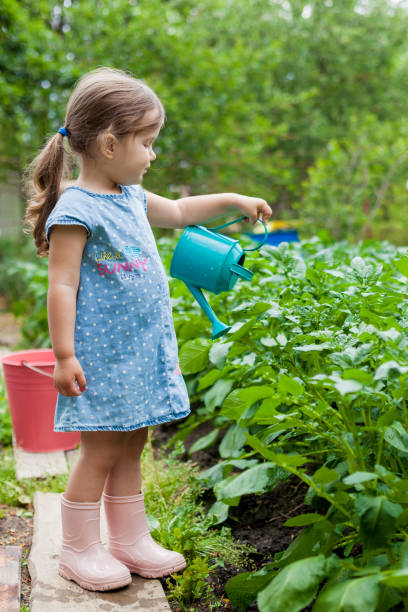 ein kleines süßes baby mädchen 3-4 jahre alt in einem jeanskleid bewässerung die pflanzen aus einer gießkanne im garten. kinder mit spaß beim gärtnern an einem hellen sonnigen tag. outdoor-aktivitäten kinder - 3 4 years cute beauty beautiful stock-fotos und bilder