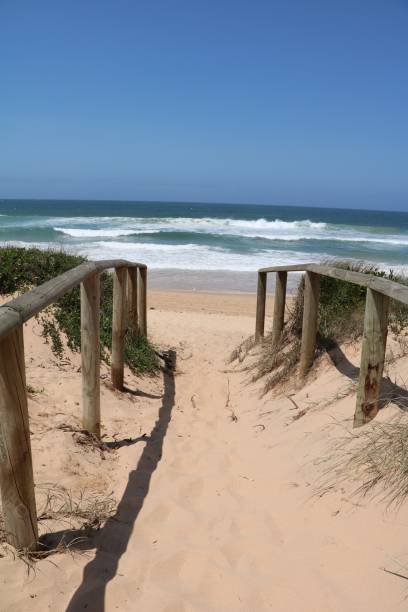 istock Way between Dee Why Lagoon and Dee Why Beach, Sydney Australia 1225867555