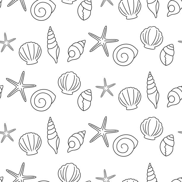 330+ Black Conch Shell Background Stock Illustrations, Royalty-Free ...