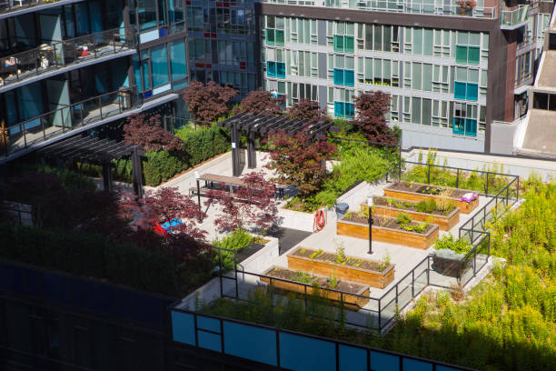 jardinagem urbana no telhado - lawn residential district landscaped community - fotografias e filmes do acervo