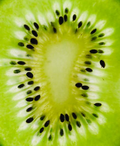 istock Kiwi fruit, close up, colorful, background 1225868568