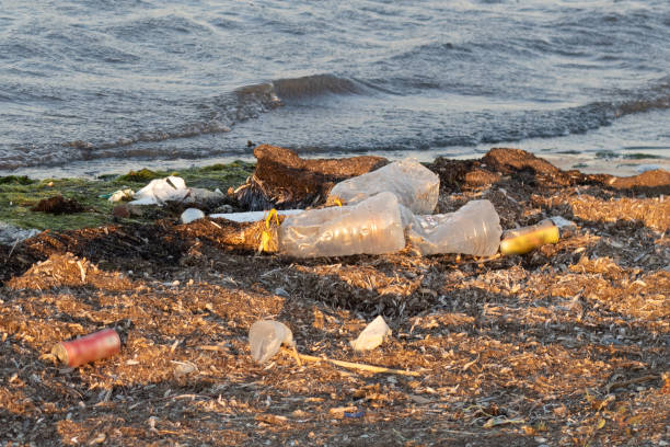 istock Plastic bottles left on the dirty sand beach with various garbages 1225868572