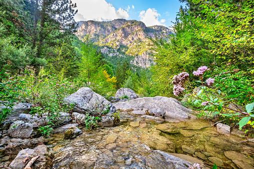 Natural landscape with stream and Olympus range. Prionia, Pieria, Greece