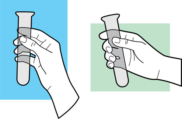 ilustrações, clipart, desenhos animados e ícones de hand holding test tube line art - human hand gripping bottle holding