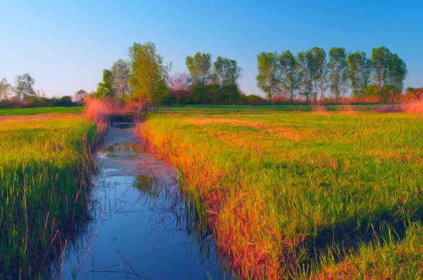 A bird observation spot located in the polders of Uithoorn close to Amsterdam. Here birdwatchers can see birds in this area specially created to get more birds in this nature reservation