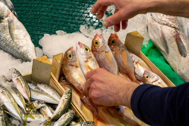 istock fresh fish on the ice in the market 1225874761