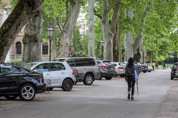 Parking cars in park Zrinjevac Zagreb, Croatia - April 16, 2020 : People after strong earthquake that damage lots of cars are parking cars in park Zrinjevac because of fear that a new earthquake would damage the cars. zagreb earthquake stock pictures, royalty-free photos & images