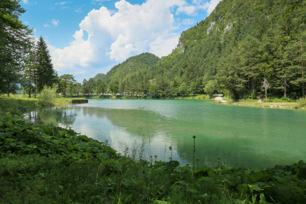 Zavrsnica lake in Slovenia Zavrsnica lake near Jesenice in Slovenia, Europe on a beautiful summer day. municipality of jesenice photos stock pictures, royalty-free photos & images