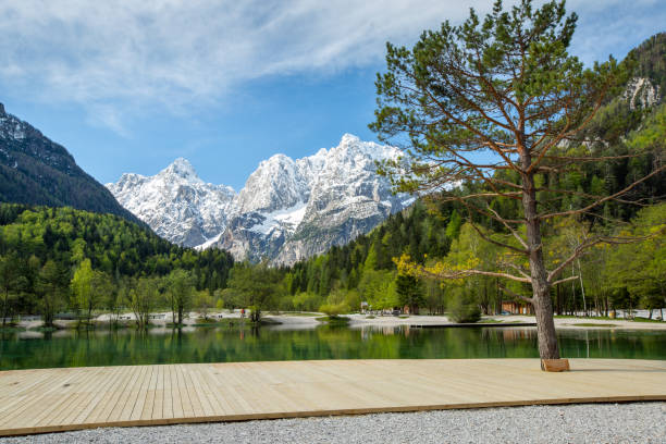 istock Jasna lake in Kranjska Gora 1225875968
