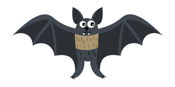 cartoon szczęśliwy bat w płaskim stylu izolowane na białym tle. ilustracja wektorowa. - bat cartoon halloween wing stock illustrations