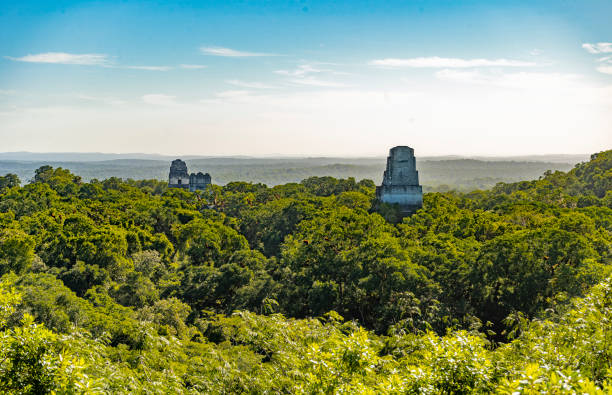 istock Tikal national park in Guatemala 1225883381