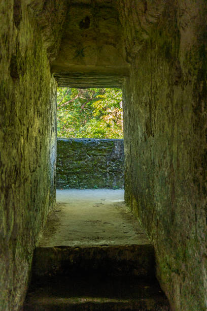 istock Tikal national park in Guatemala 1225884363