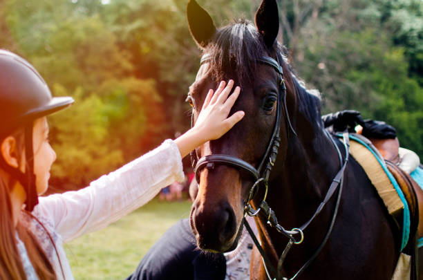 petting a horse ist so entspannend und heilend - horse beauty beauty in nature women stock-fotos und bilder
