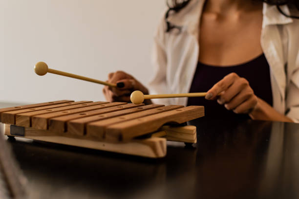 istock Learn xylophone at home 1225884999