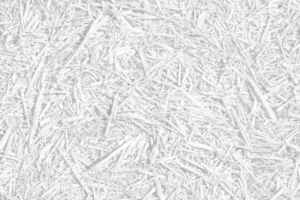 istock Texture of hay or straw. Agricultural white horizontal background. 1225886347