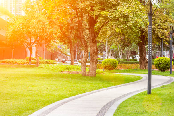 istock A path in the park goes through the grass 1225887962