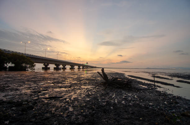 istock Penang second bridge with wooden dead trees 1225889601