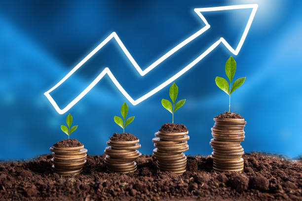 istock Financial success concept with return on investment growing 1225891263