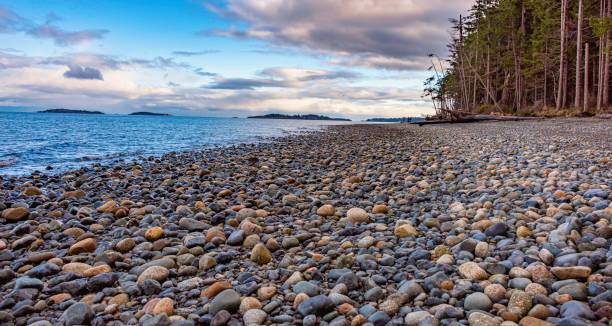 istock Qualicum Beach Vancouver Island Canada 1225891469