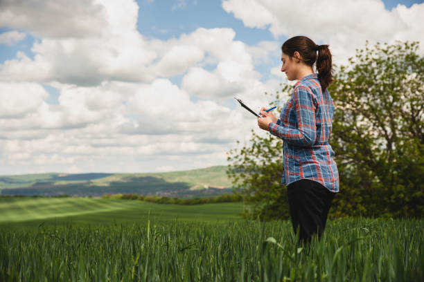 istock Young female agriculture scientist checking wheat crops on the field 1225893255