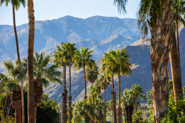 istock Palm Springs, California 1225896417