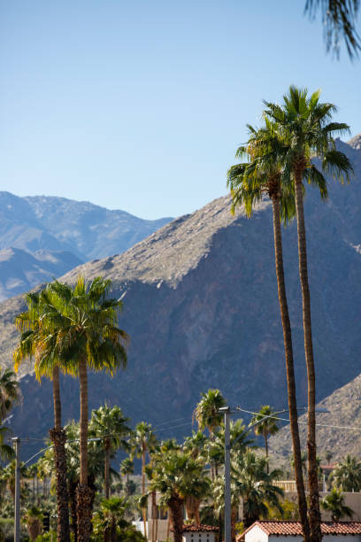 istock Palm Springs, California 1225896438