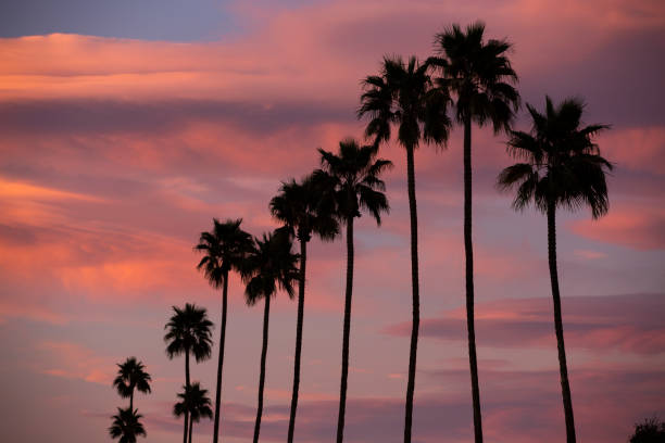istock Palm Springs, California 1225896480