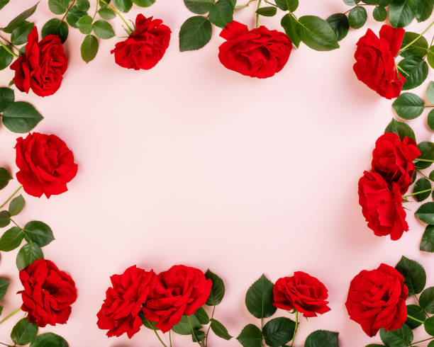 istock Fresh red roses background and copy space for your  text or decoration. 1225899832
