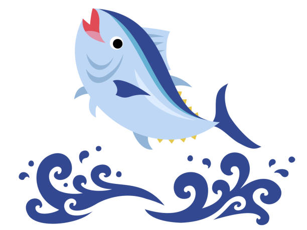 점프 참치와 파도의 일러스트 - fish tuna splashing bluefin tuna stock illustrations