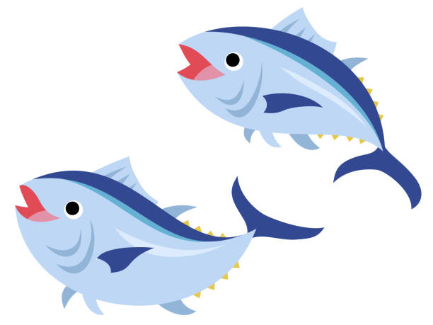 Illustration of a pair of smiling tuna Illustration set of two tuna characters bouncing funny fish cartoons stock illustrations
