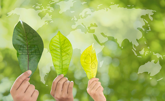 Earth Environment Day,  Hand holding a leaf and environment  icons energy sources for renewable with sustainability. Forest conservation concept ,Ecology concept. Green energy.