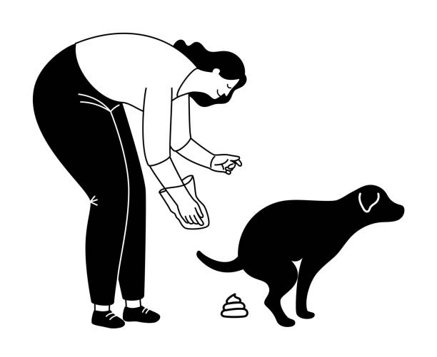 ilustrações, clipart, desenhos animados e ícones de limpo após silhueta de cachorro - mulher catando lixo