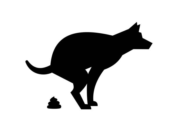 ilustraciones, imágenes clip art, dibujos animados e iconos de stock de silueta de perro de caca - defecar
