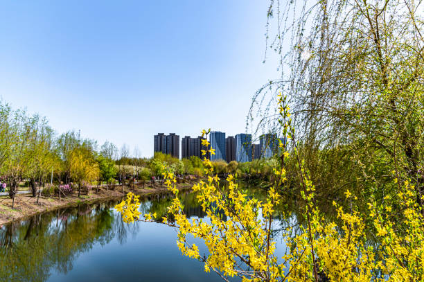 istock Spring landscape in Changchun Park, China 1225906525