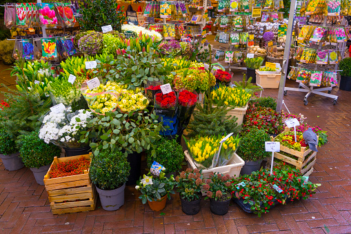 Amsterdam, Netherlands - November 29, 2019 : A lot of different flower in the shop at Amsterdam flower market (Bloemenmarkt) in Amsterdam, Netherlands on November 29, 2019.