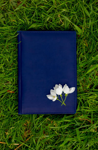 istock White apple blossoms lying on a Dark blue leather notebook on the green grass on a summer day 1225910803