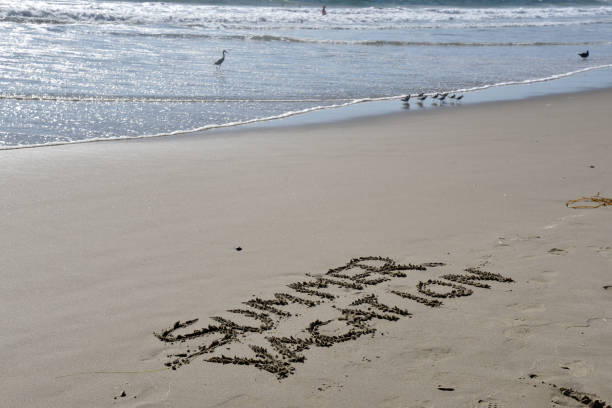 istock Summer Vacation written in the wet sand at a beach 1225912093