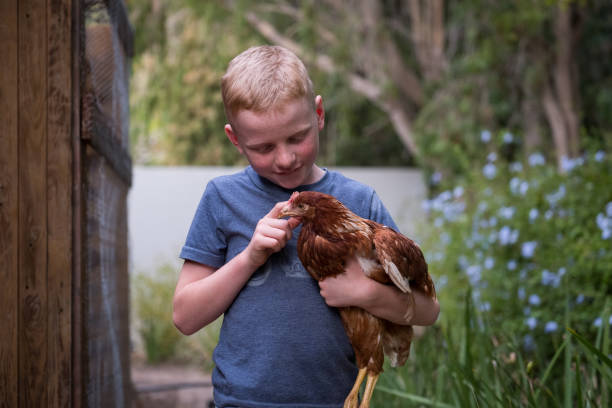 istock Young boy holding his chicken 1225913947