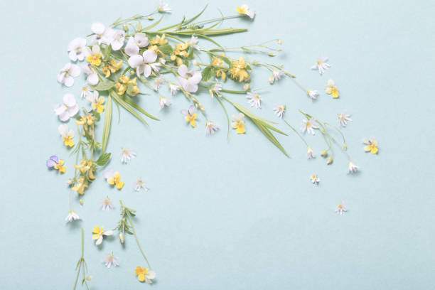 istock wild flowers on paper background 1225914749