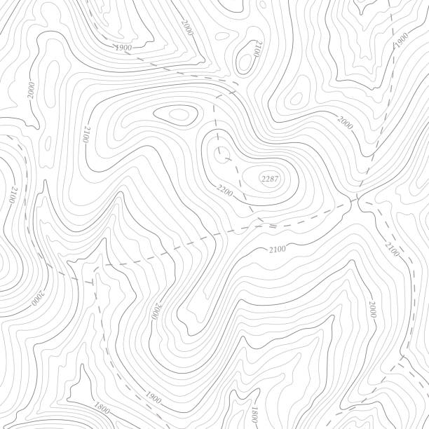 地形線輪郭図、地理グリッドマップの背景。 - topographic map点のイラスト素材／クリップアート素材／マンガ素材／アイコン素材