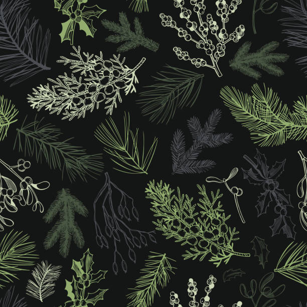 ilustrações, clipart, desenhos animados e ícones de padrão vetorial com plantas de natal - pinaceae