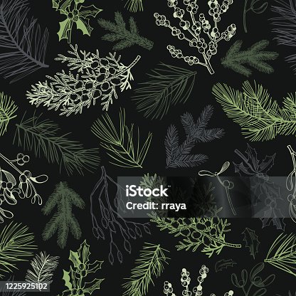 istock Vector  pattern with  Christmas plants 1225925102