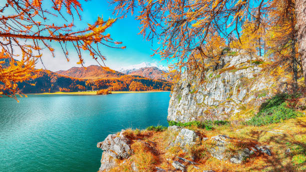 istock Fantastic autumn scene on Sils Lake 1225925375