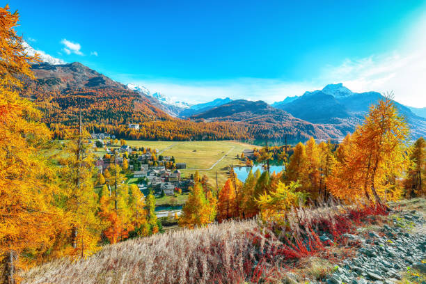 istock Fantastic autumn scene on Sils Lake 1225926078