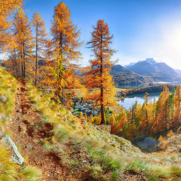 istock Fantastic autumn scene on Sils Lake 1225926088