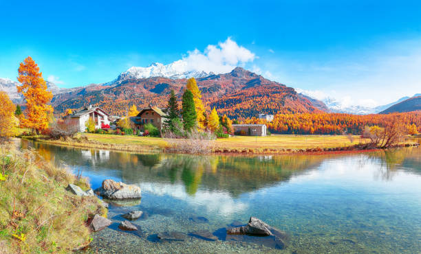 istock Fantastic autumn scene on Sils Lake 1225926117